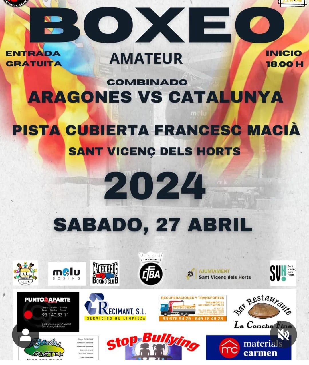 Cartel Velada BOXEO VEGA